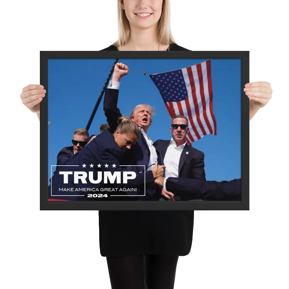 TRUMP 2024 Framed poster