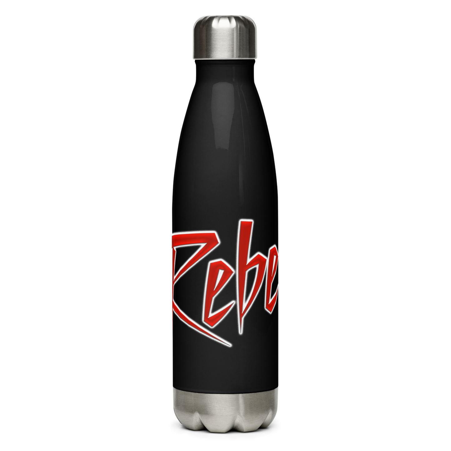 Stainless Steel Water Bottle