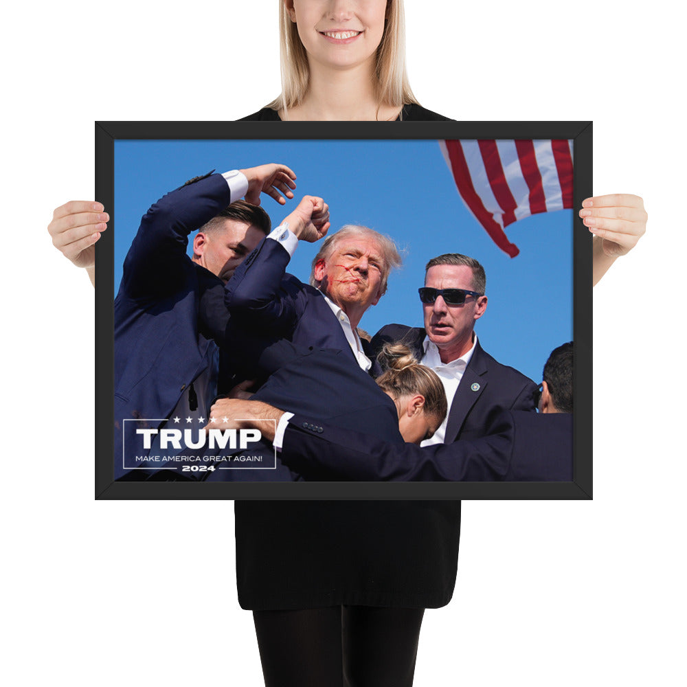 TRUMP 2024 DEFIANT Framed poster