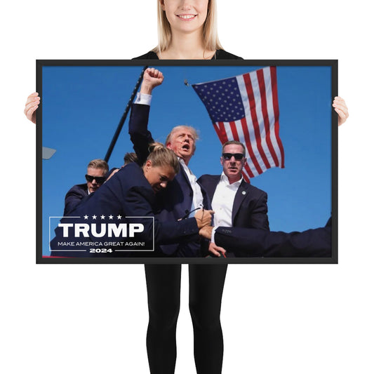 TRUMP 2024 Framed poster